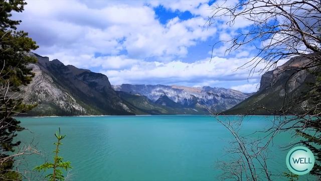 New Meditation for Healing by Deepak Chopra смотреть онлайн