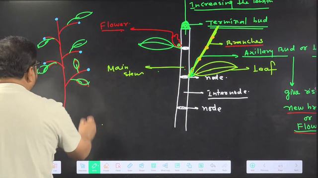 SRI GOSALITES | NEET 2024 | 20-06-2023 | AP sir BOTANY CLASS 04 смотреть онлайн