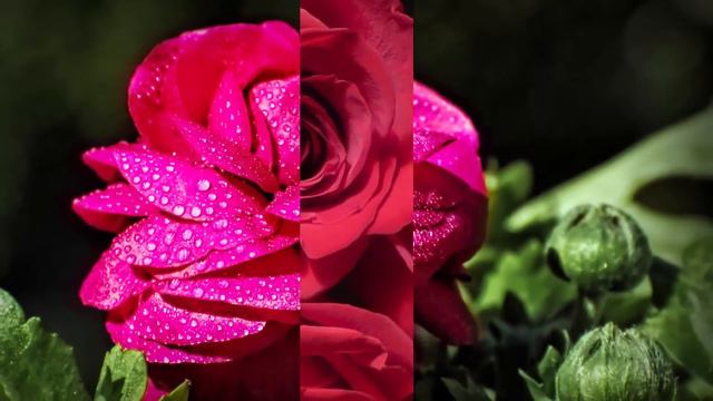 Самая красивая мелодия на свете! Эту музыку можно слушать вечно! красивая музыка Сергей Грищук смотреть онлайн