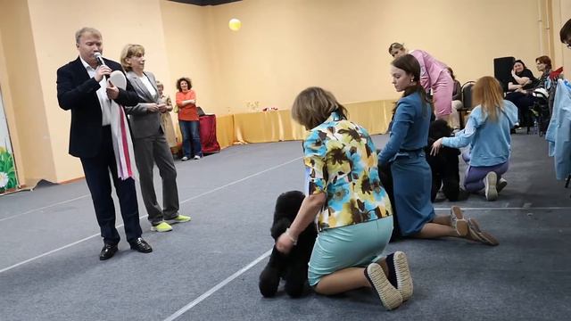 XXVIII Национальная выставка пуделей. BEST IN SHOW. 🏆 смотреть онлайн