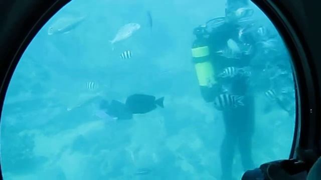 Подводное царство Египта смотреть онлайн