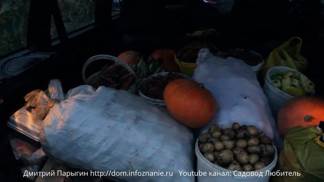 Урожай 2016 на даче смотреть онлайн