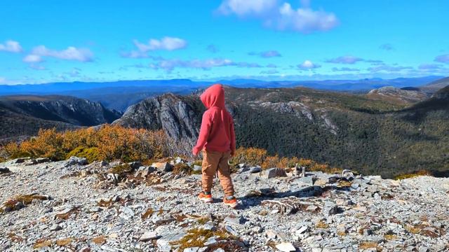 Дика природа Тасманії. Край світу Австралії смотреть онлайн