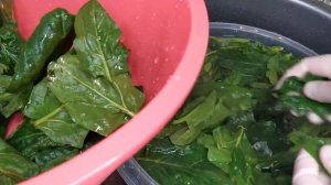 КАК ПРАВИЛЬНО МЫТЬ ШПИНАТ И ДРУГИЕ ЛИСТОВЫЕ ОВОЩИ.#простовкусно