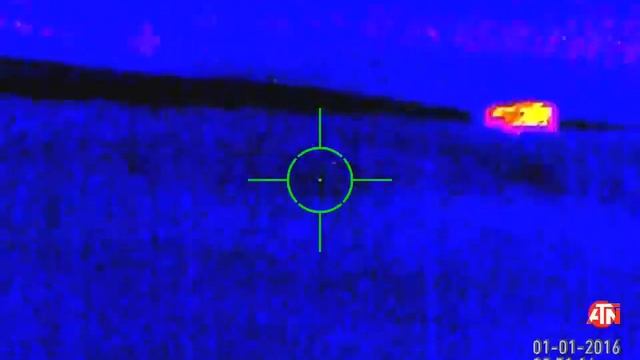 1 Кабан упал - тепловизор для охоты ATN MARS HD 1-5x 384 смотреть онлайн