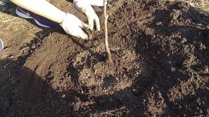 Раскислитель почвы