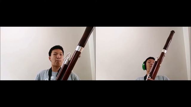 Zelda's Lullaby: Two Bassoons смотреть онлайн