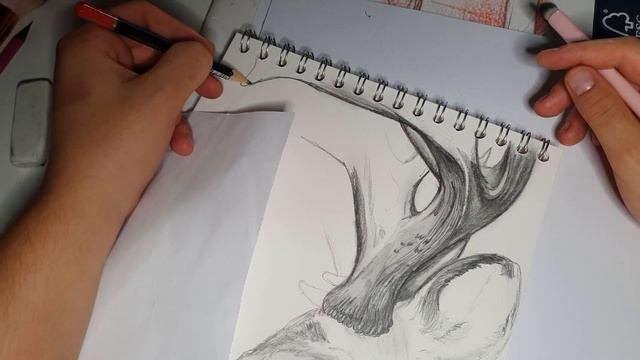 How To Draw a Deer Head смотреть онлайн