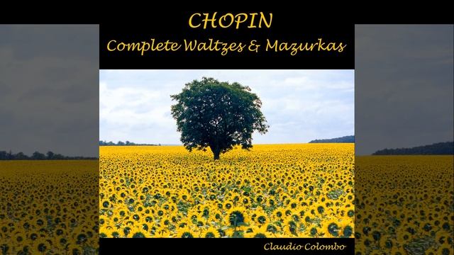 Mazurka No. 13 in A Minor, Op. 17 No. 4 смотреть онлайн