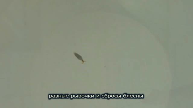 Зимняя блесна "Торпедка" - 46 мм смотреть онлайн