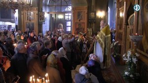 Протоиерей Димитрий Смирнов. Проповедь о посылаемых скорбях и любви Божией