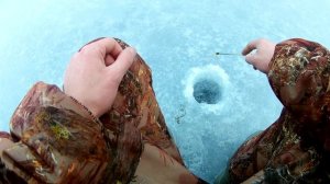 Рыбалка в Ленинградской области. оз. Струпино 2020г.