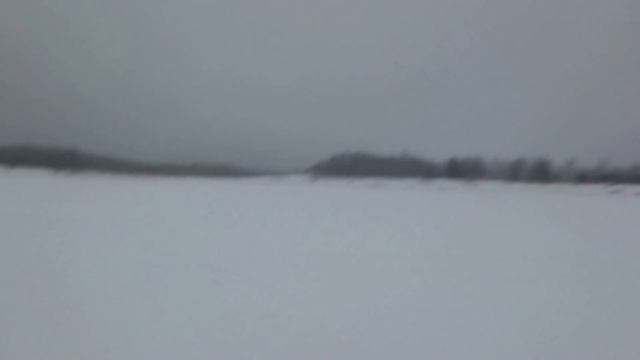 Paxus grand 500 смотреть онлайн