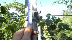 Устройство двух плоскостной виноградной шпалеры