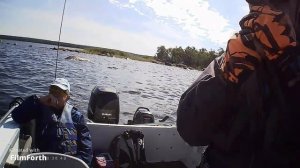 Выборгский залив Советский 15 июля.