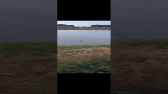 VID20220918052946.mp4 смотреть онлайн