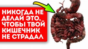 Здоровый кишечник и в туалете не пахнет! Вот что может угробить твой кишечник окончательно
