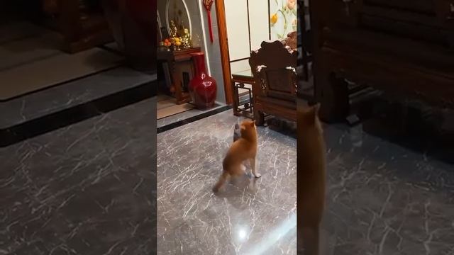А вам слабо ?