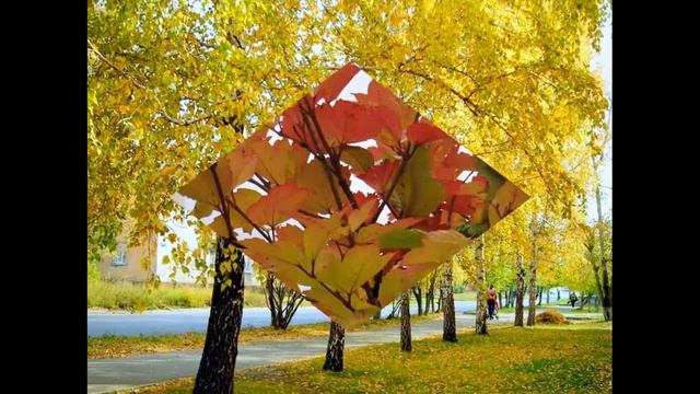 ОСЕНЬ , ОНА НЕ СПРОСИТ смотреть онлайн