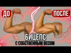 Как накачать бицепс собственным весом? 2 упражнения на бицепс