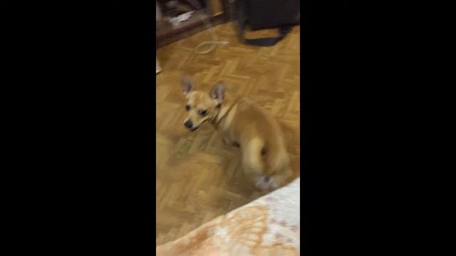 Лоло и её канал. смотреть онлайн