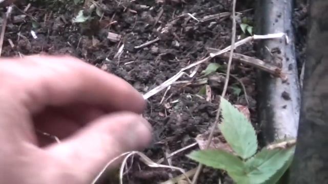 Приборный поиск / Поход в заброшенное село / 2 часть #63 смотреть онлайн