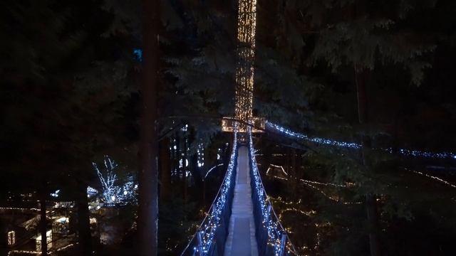 Capilano Suspension Bridge Christmas in 4K (UHD Virtual Tour) смотреть онлайн