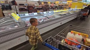 Закупили целую тележку продуктов/Немецкий магазин Lidl/Цены в США/Веселый шопинг/Лиса в Америке/Вло