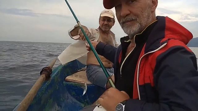 Рыбалка в Абхазии на море.Гагра.Встреча  с дельфинами