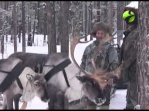 С полем! "Зимняя охота у селькупов" Часть 1 (#С_полем)