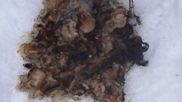 Лучшая природная растопка \\ The best tinder for fire making смотреть онлайн