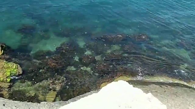 Ура каникулы#3 Чайка... #КРЫМ2019 смотреть онлайн