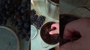 Приготовление винного сусла