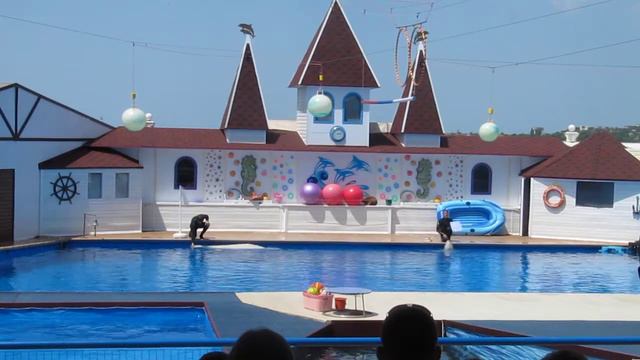 Выступление белух севастополь 2014