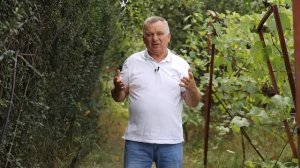 Как избавиться от ПОРТУЛАКА? Надежнее средства НЕТ!