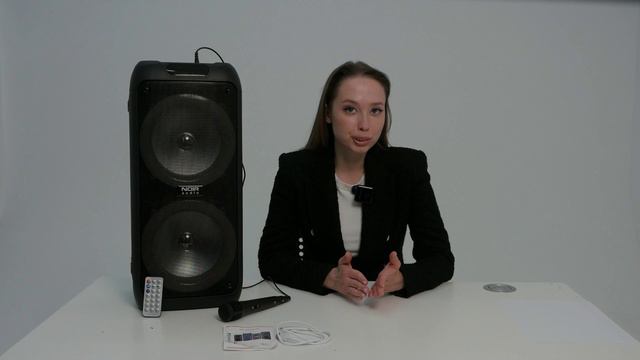 NOIR-audio MAX-100 акустическая система 100 Ватт со светомузыкой и микрофоном. Обзор