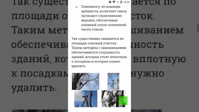 Спил и валка дерева на участке законодательная база удаления деревьев