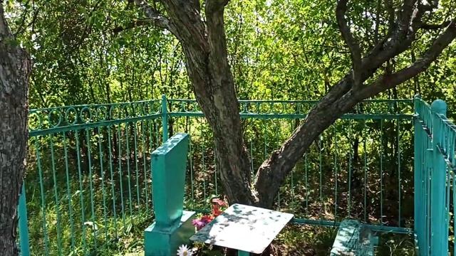 Кладбище в с. Солоновка, Смоленский район, Алтайского края