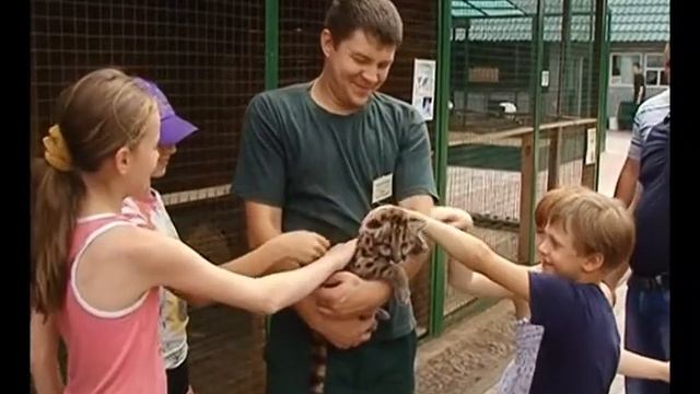 У пары горных львов в Самарском зоопарке прибавление смотреть онлайн