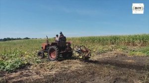 Как быстро выкопать картошку трактором Т 25 Копаем картофель своими руками  #картошка#potato