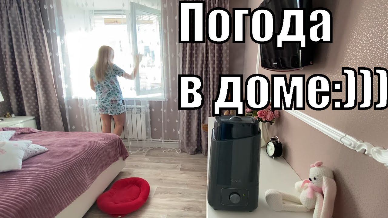 VLOG: Увлажнитель Kyvol EA200/Едем В ОГОРОД И НА МОЙКУ/В поисках МЯСА/Фикс Прайс