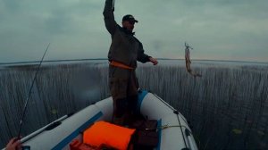 ТОП силиконовых приманок на щуку в траве / лучшие силиконовые приманки на щуку 2020