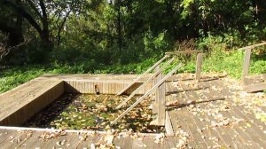 Родник свт. Николая Чудотворца в селе Владыкино Ртищевского района.