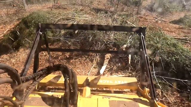 OVERGROWN 3 acre retention pond - Day Two смотреть онлайн