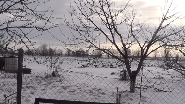 Коровы , как бизнес для села, выгодно ли это? смотреть онлайн