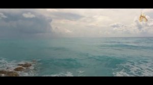 Описание прекрасных Гурий | Марат абу Амин