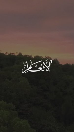 6 Скот | Al-An'am | سورة الأنعام verse 59 Tareq Mohammad Мухаммад Тарик