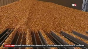 Украинские националисты сожгли 50 тысяч тонн зерна в Мариуполе / События на ТВЦ