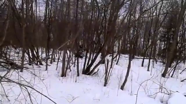 Мини-снегоход Пурга - Манёвры в лесу смотреть онлайн