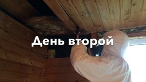 Жесть! Огромное гнездо шершней в доме!